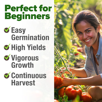 Beefsteak Tomato Grow Pack – 300 Heirloom Tomatoes for Your Garden