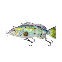 Iridescent Bluegill