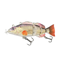 Redfin Sunfish