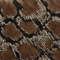 Bronze Python
