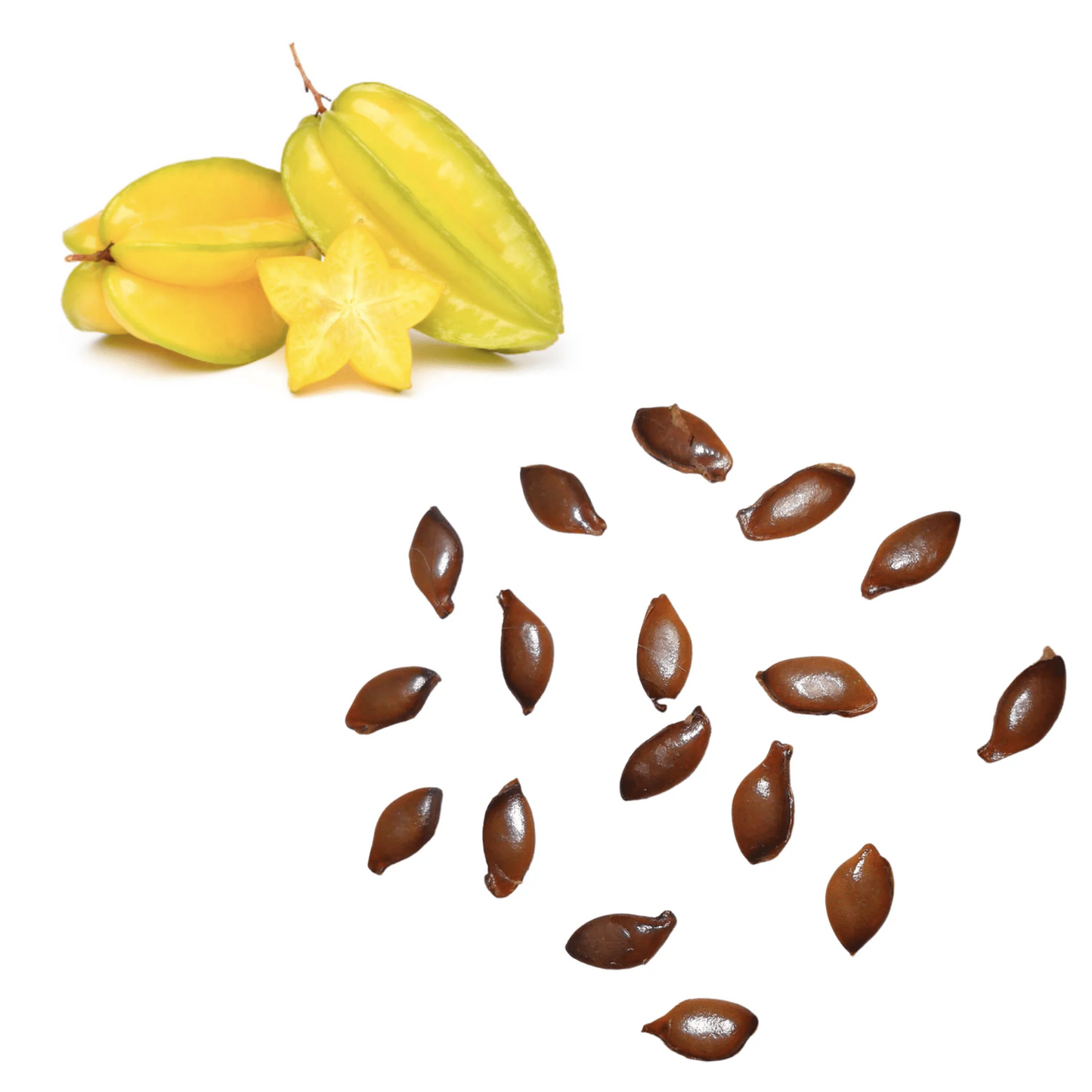 Starfruit Carambola Plant Kit – Grow Your Own Exotic Sweet & Tangy Fruit at Home